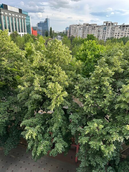 Unirii Tribunal  2 camere 69 mp   ideal cabinet avocat / birou